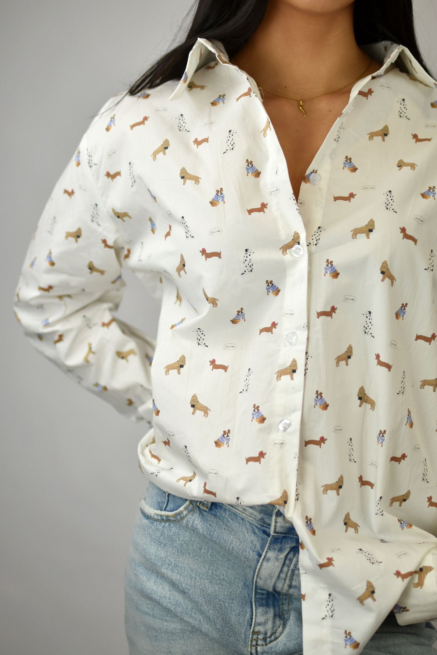 Camicia