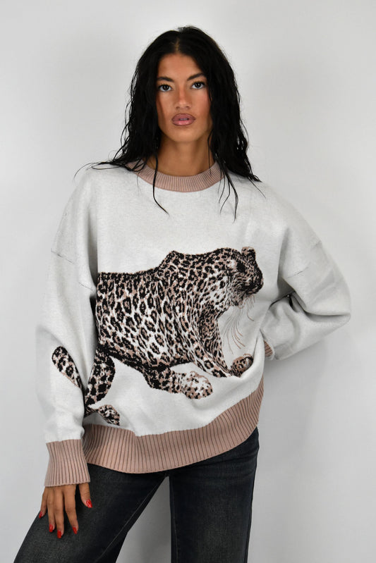 Maglione